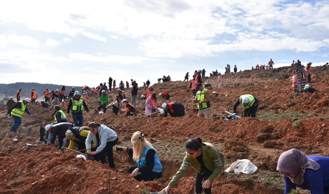 Afyonkarahisar Valiliği koordinesinde, Tarım ve Orman Bakanlığı Orman Genel Müdürlüğü