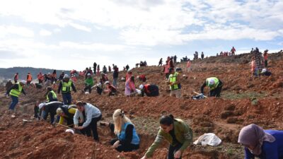 Afyonkarahisar Valiliği koordinesinde, Tarım ve Orman Bakanlığı Orman Genel Müdürlüğü