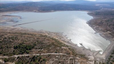Bursa Uludağ Üniversitesi Ziraat Fakültesi Tarım Ekonomisi Bölümü Öğretim Üyesi