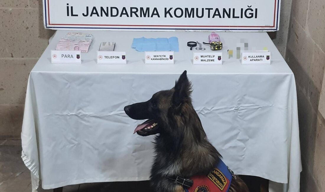 Afyonkarahisar İl Jandarma Komutanlığı ekipleri, İhsaniye ilçesinde adli makamlardan alınan