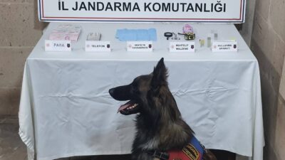 Afyonkarahisar İl Jandarma Komutanlığı ekipleri, İhsaniye ilçesinde adli makamlardan alınan