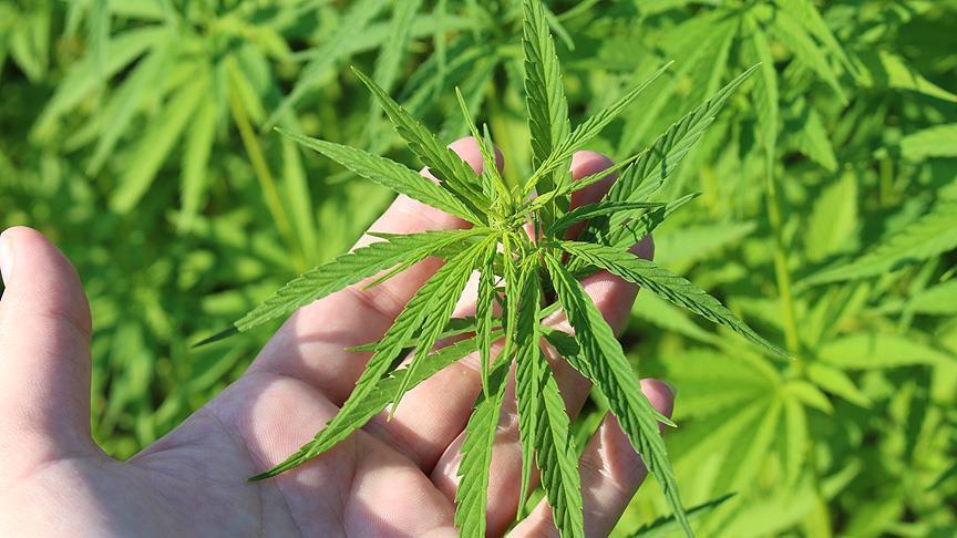 Afyonkarahisar İl Genel Meclisi’nin kasım ayı toplantılarının 19. oturumunda, Bolvadin’de