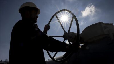 Boru Hatları İle Petrol Taşıma AŞ (BOTAŞ) ve Türkiye Elektromekanik