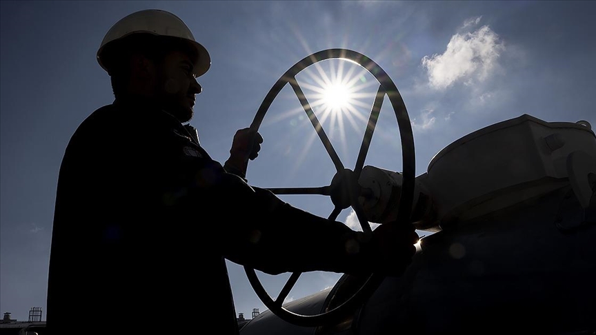 Boru Hatları İle Petrol Taşıma AŞ (BOTAŞ) ve Türkiye Elektromekanik
