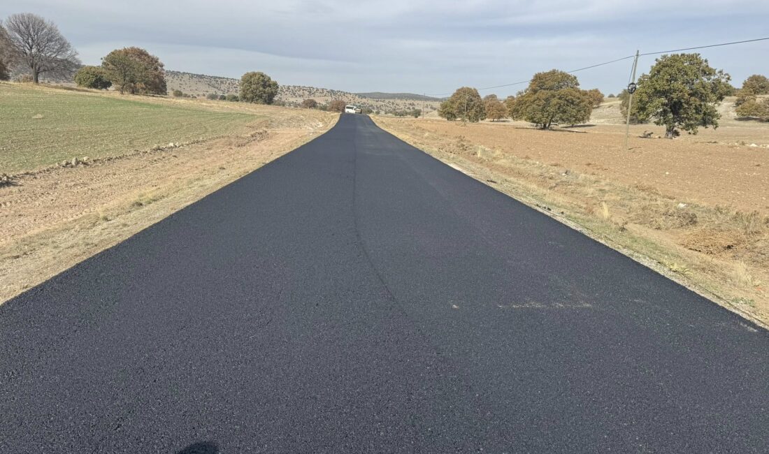 Bayat Belediye Başkanı Halil İbrahim Bodur, İGM Üyesi Kadir Üçer