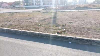 Bolvadin Belediyesi, ilçe genelinde özellikle refüj ve orta şeritlerde artan