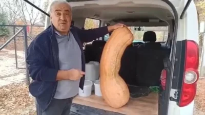 Elazığ’da bir bahçede yetiştirilen kabak 47 kilogram ağırlığı ve 113