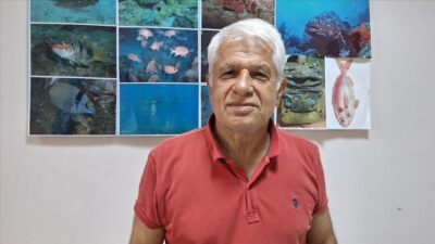 Akdeniz Üniversitesi Su Ürünleri Fakültesi Öğretim Üyesi Prof. Dr. Mehmet