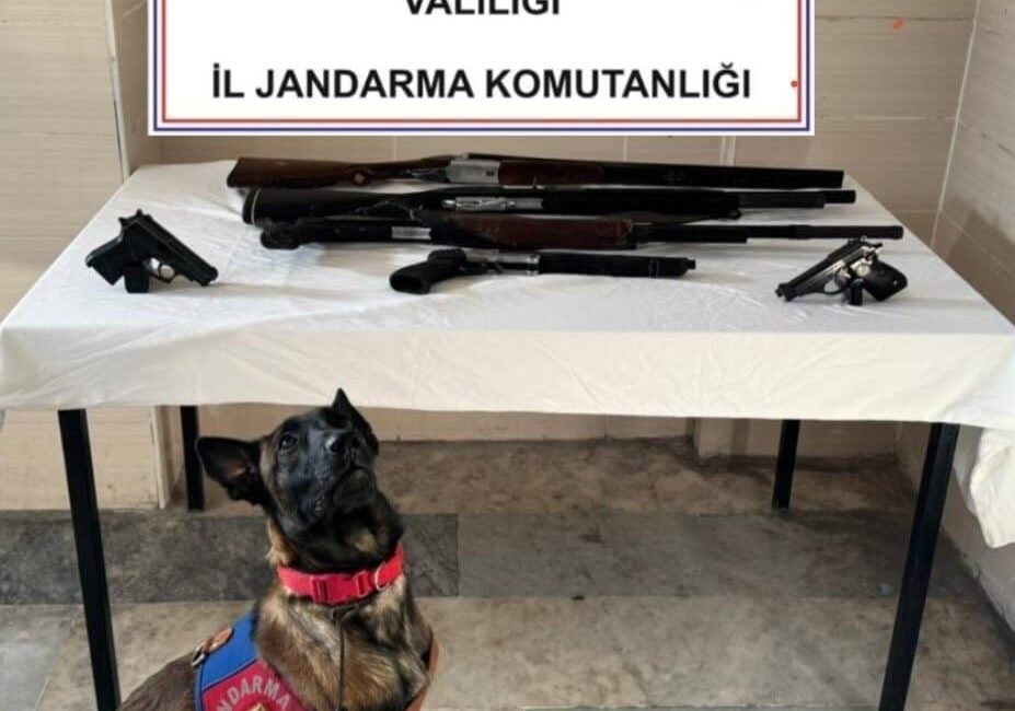 Afyonkarahisar İl Jandarma Komutanlığı ekipleri, düğünlerde silah kullanılmasının önüne geçmek