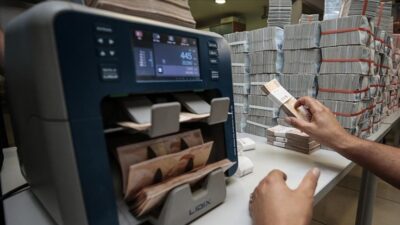 Bankacılık Düzenleme ve Denetleme Kurumunun (BDDK) yayımladığı haftalık bültene göre,
