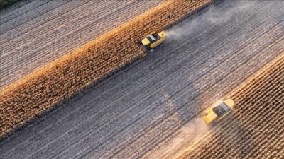 Tarımsal girdi fiyat endeksi (Tarım-GFE), eylülde yıllık bazda yüzde 34,6,