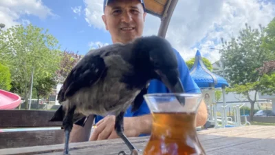 Kocaeli’de otobüs kaptanı Ömer Tek, 2,5 yıl önce yaralı bulduğu