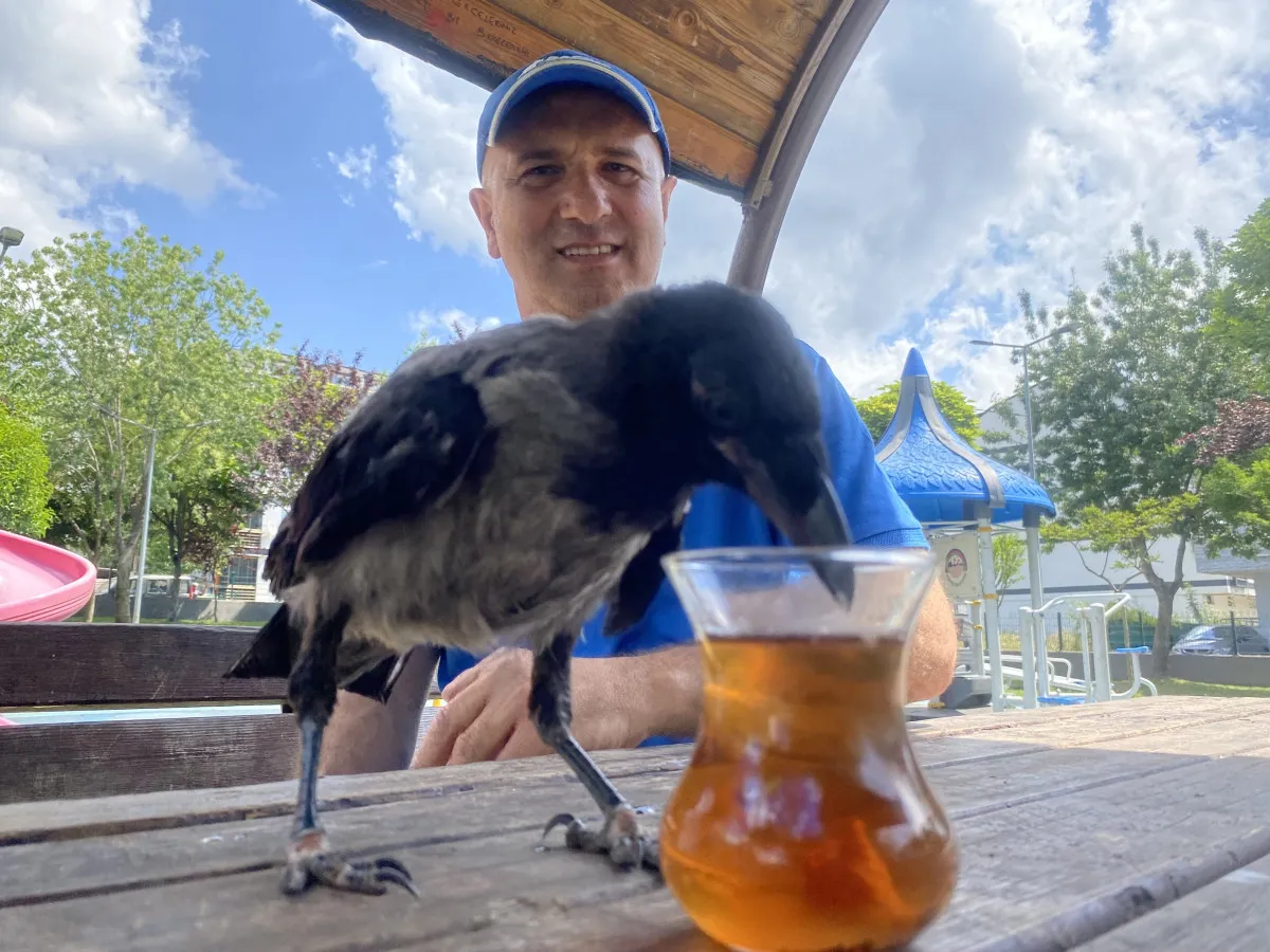 Kocaeli’de otobüs kaptanı Ömer Tek, 2,5 yıl önce yaralı bulduğu