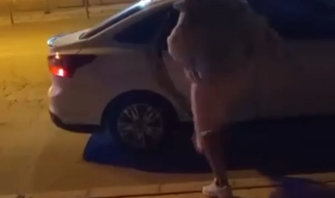 Elazığ’ın Çaydaçıra Mahallesi’nde tartıştığı kişinin arabasına öfkesini yansıtan kadın, otomobilin