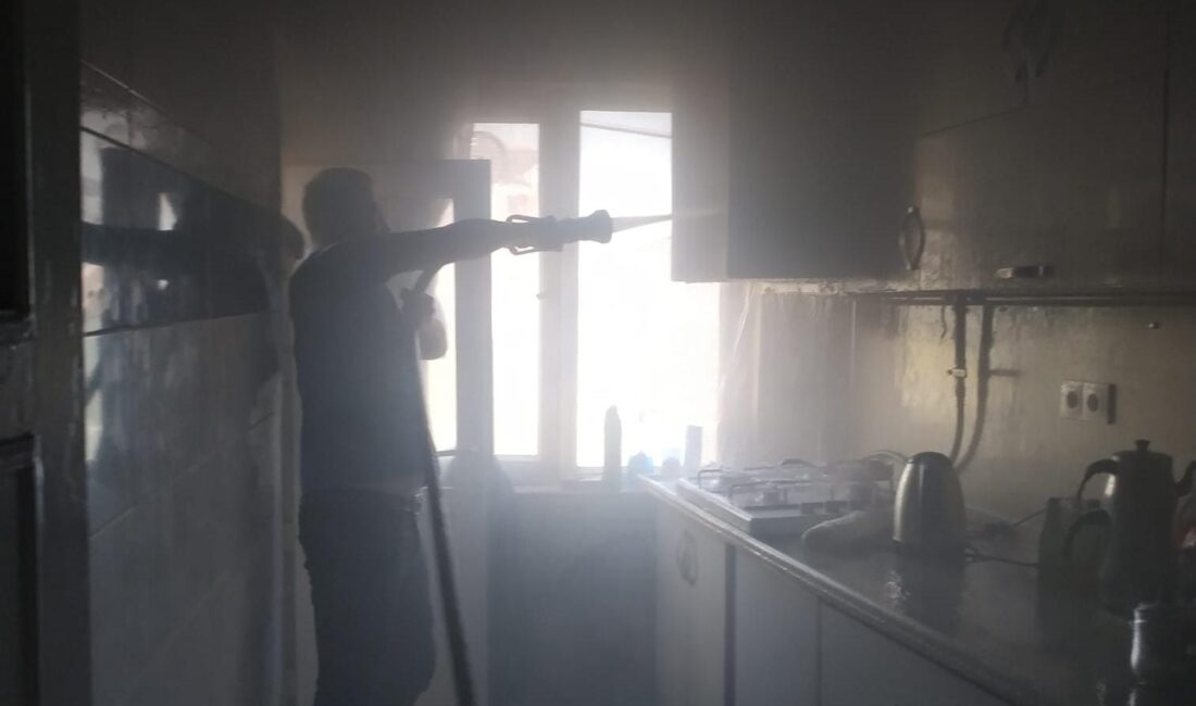 Emirdağ Eski Kacerli Mahallesi Hal Civar Meydanı’nda Ümit Koca’ya ait