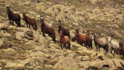 Afyonkarahisar’da Kumalar Dağın da çekilen yılkı atları ile bulutların dansı