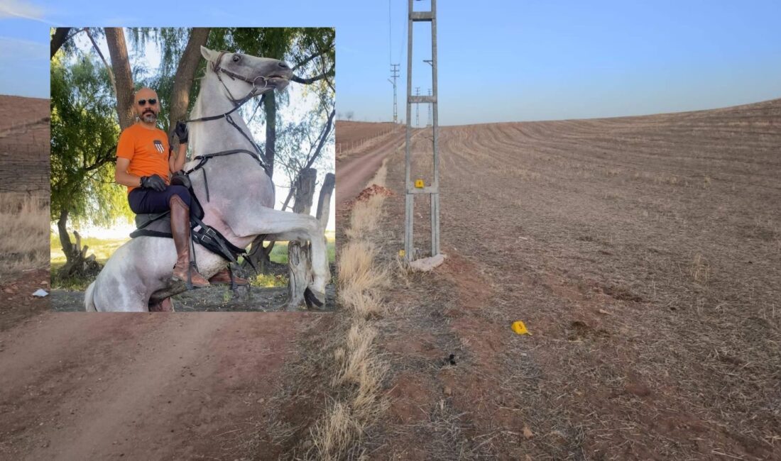 Kırıkkale’de at tutkunu Emrah Kavlak, atla gezerken elektrik direğine çarptı