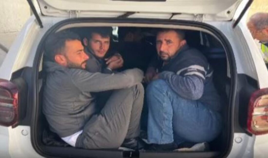Göçmen kaçakçılığı operasyonunda iki araçta tıka basa doldurulan 12 göçmen