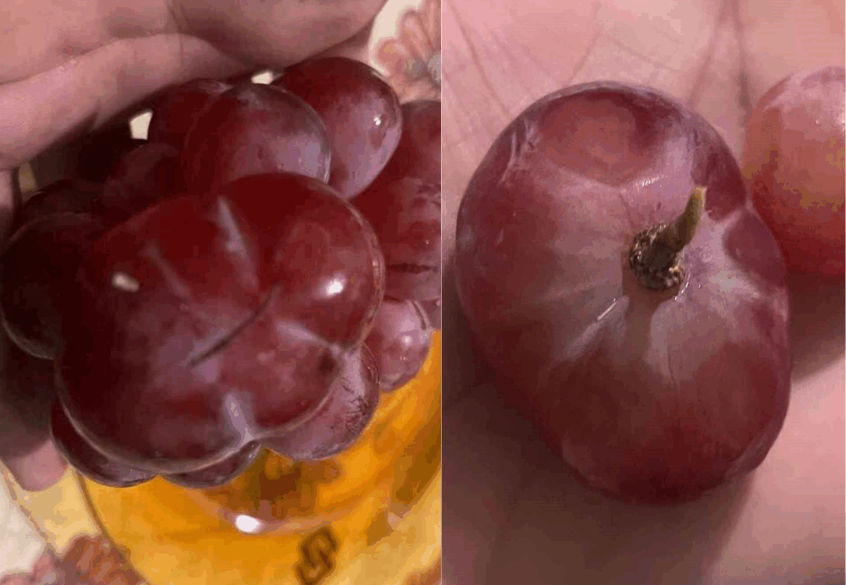 Batman’da bir vatandaşın aldığı 1 kilogramlık üzümün içinden çıkan dev