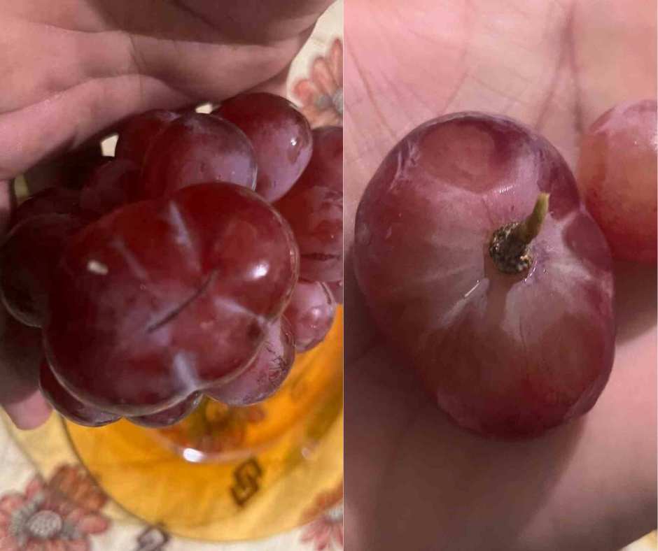 Batman’da bir vatandaşın aldığı 1 kilogramlık üzümün içinden çıkan dev