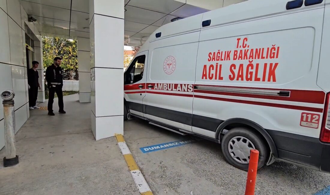 Sakarya'nın Sapanca ilçesinde, aralarında husumet bulunduğu iddia edilen iki kardeş