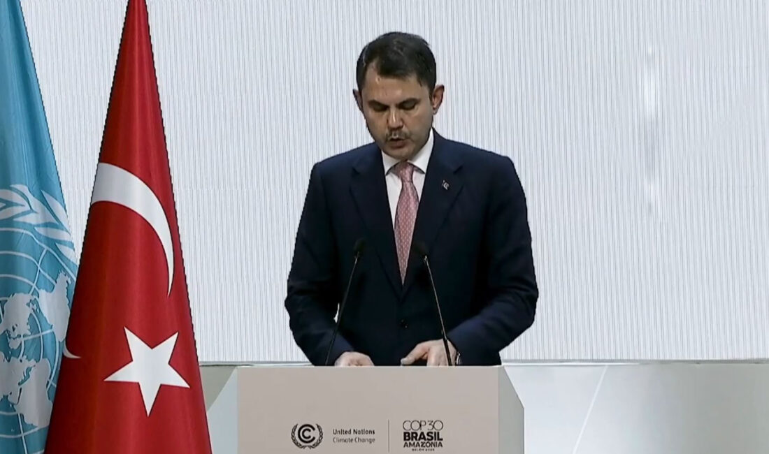 Çevre, Şehircilik ve İklim Değişikliği Bakanı Murat Kurum, Birleşmiş Milletler