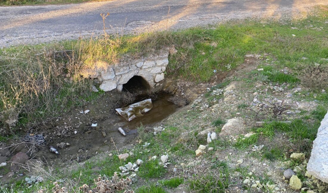 Çanakkale’nin Ayvacık ilçesinde, boş arazide yeni doğmuş kız bebek cesedi