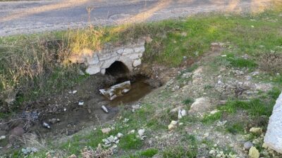 Çanakkale’nin Ayvacık ilçesinde, boş arazide yeni doğmuş kız bebek cesedi
