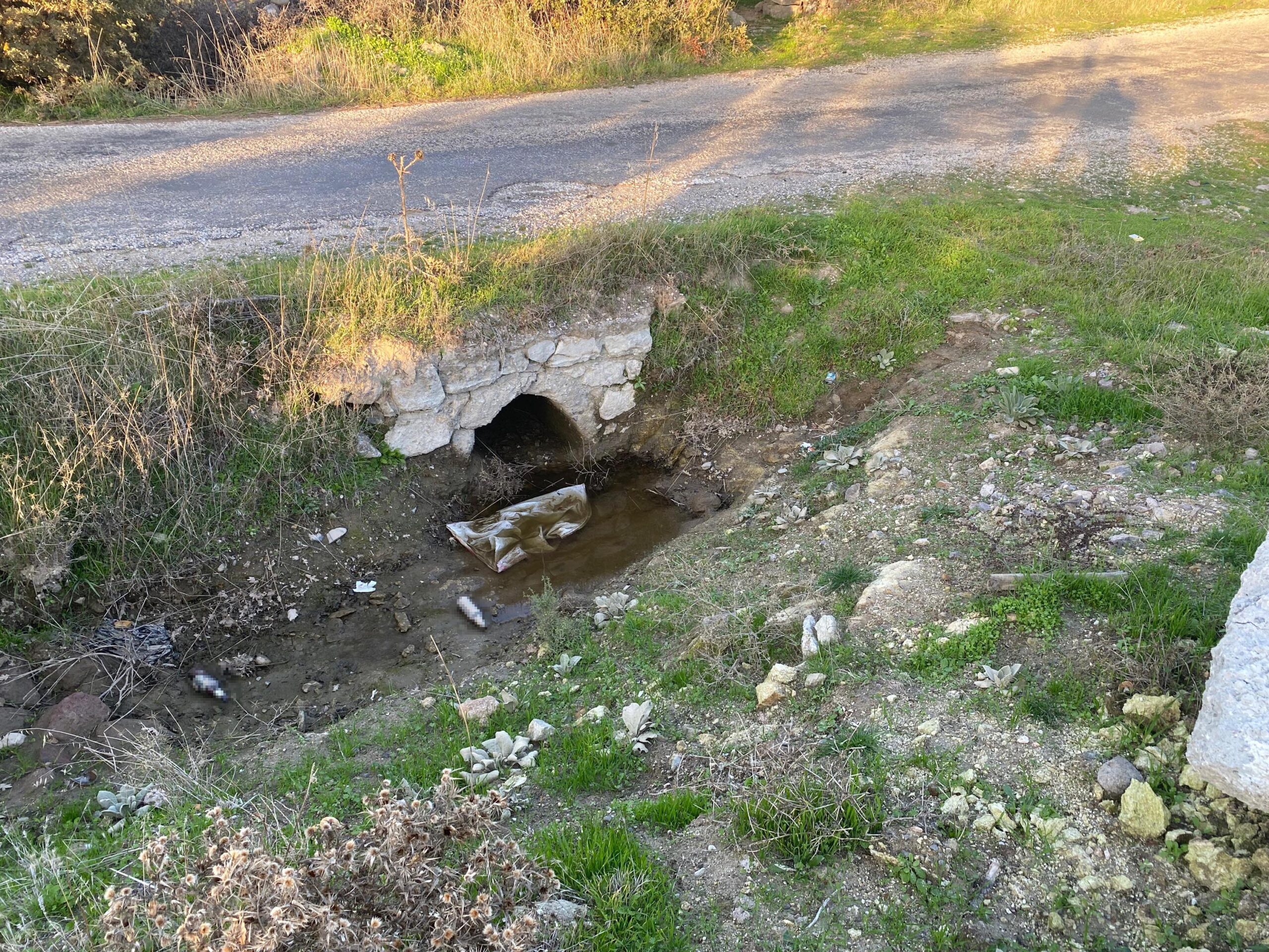 Çanakkale’nin Ayvacık ilçesinde, boş arazide yeni doğmuş kız bebek cesedi