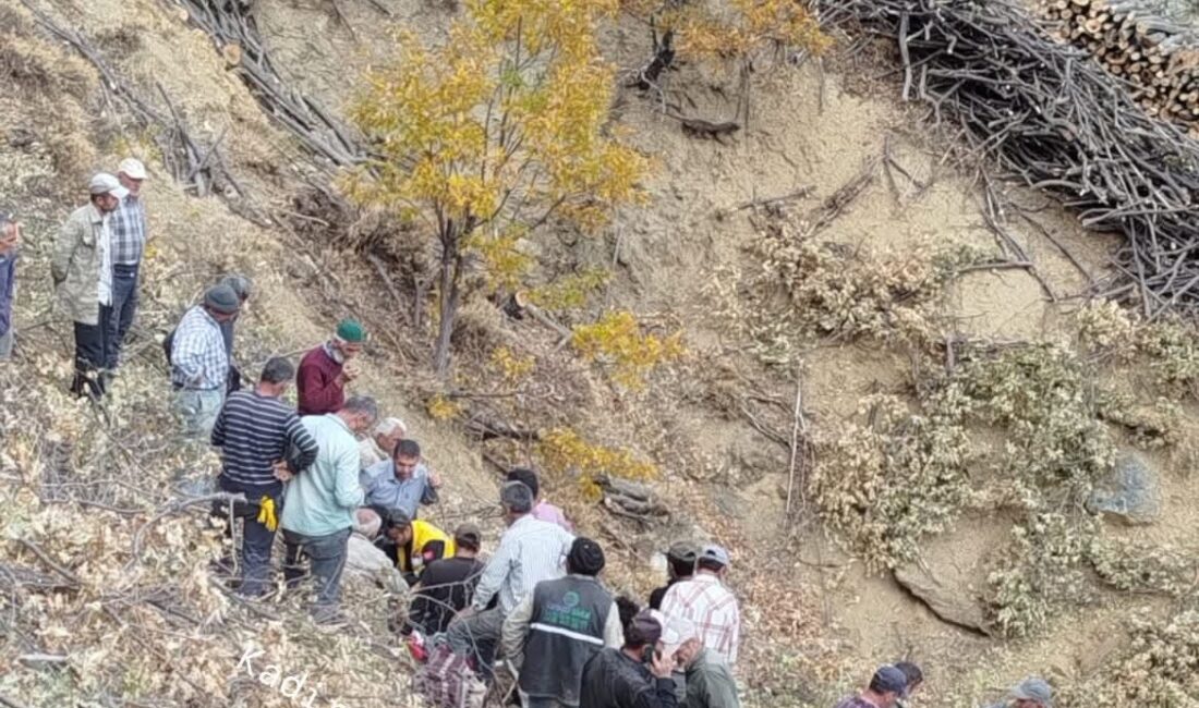 Malatya’nın Doğanşehir ilçesinde yakacak odun toplamak için dağa çıkan Yaşar
