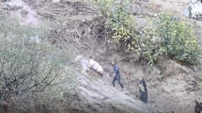 Diyarbakır Çüngüş’de kırsal Atalar Mahallesi’nde yol olmadığı için vatandaşlar aldıkları