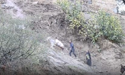 Diyarbakır Çüngüş’de kırsal Atalar Mahallesi’nde yol olmadığı için vatandaşlar aldıkları