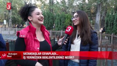 Bu bölümde, halkın iş yerlerinden beklentilerini ve iş yaşamında öncelik