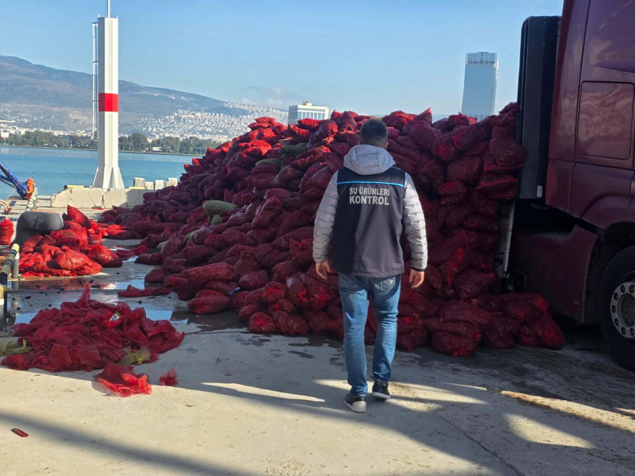 İzmir'de yasa dışı avlanan 27 ton kara midye, Tarım ve