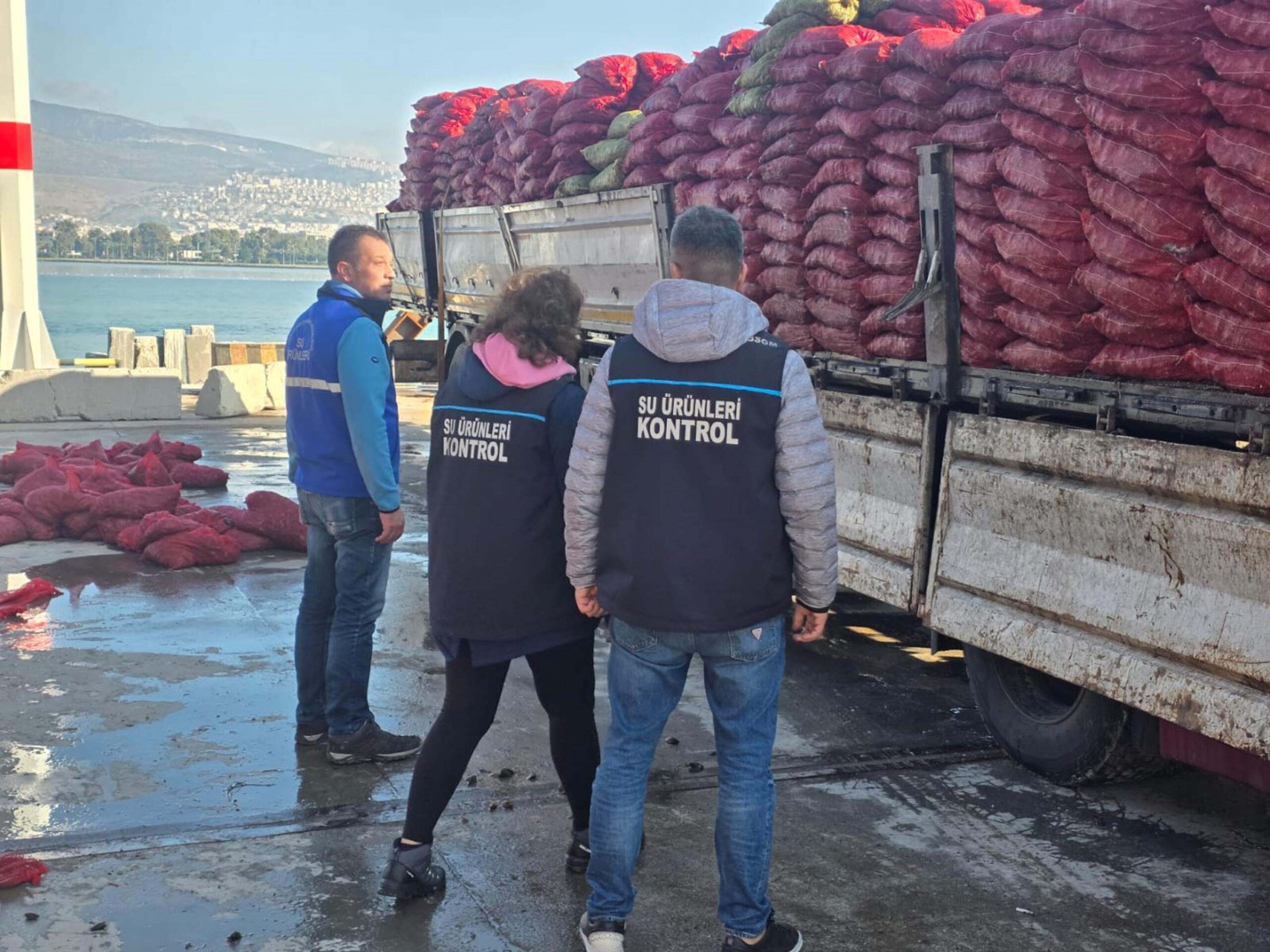 İzmir’e belgesiz sokulmak istenen 27 ton kara midye, ekiplerin eş