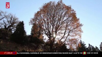 #kanal3canlı #Haber #sondakika #kanal3 #kanal3tv #kanal3tvcanlı #canlıyayın #sondakika Son dakika