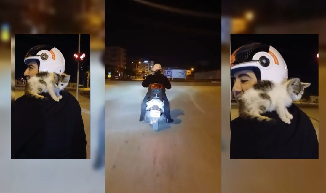 Osmaniye'de yolda bulduğu yavru kediyi omzuna alıp eve götüren motosiklet