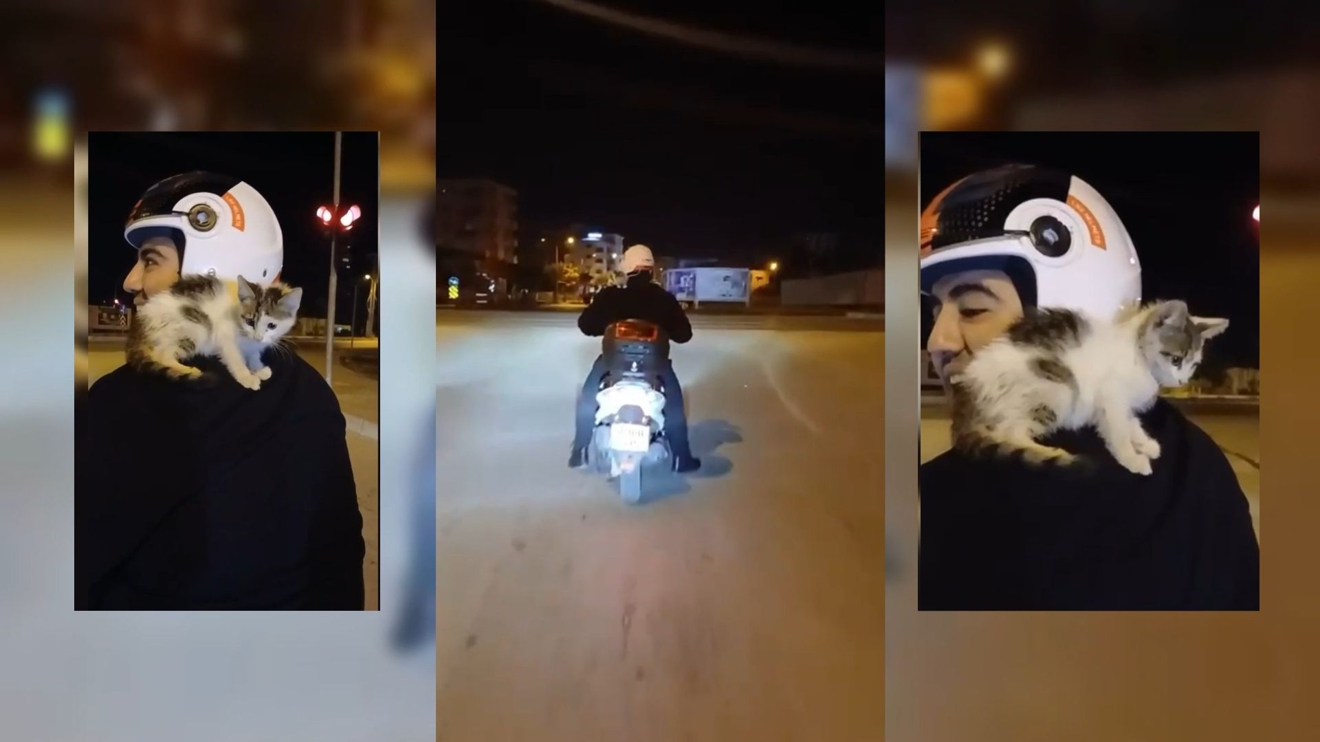 Osmaniye'de yolda bulduğu yavru kediyi omzuna alıp eve götüren motosiklet