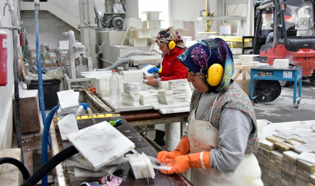 Türkiye ekonomisinin sürdürülebilir büyüme hedefleri doğrultusunda, kadın ve genç istihdamında