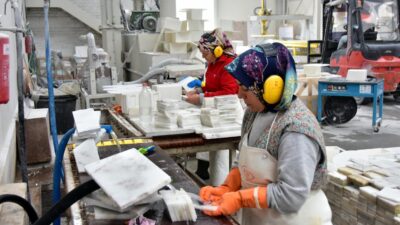 Türkiye ekonomisinin sürdürülebilir büyüme hedefleri doğrultusunda, kadın ve genç istihdamında