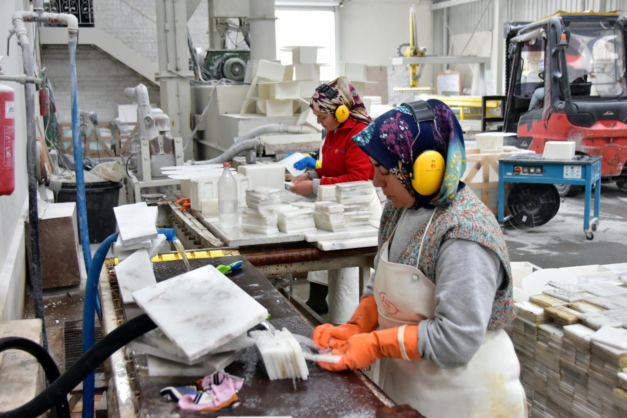 Türkiye ekonomisinin sürdürülebilir büyüme hedefleri doğrultusunda, kadın ve genç istihdamında