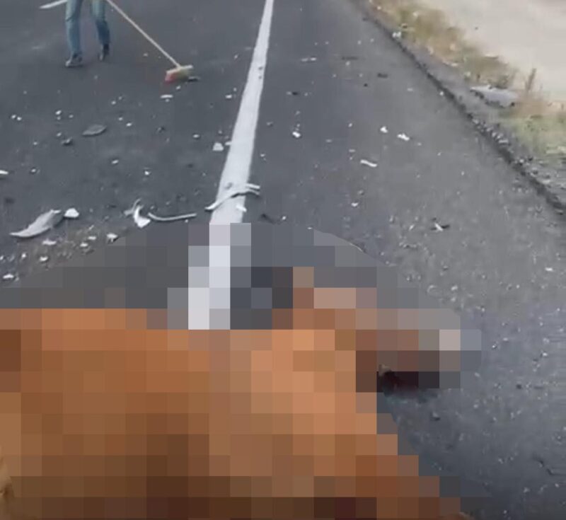 Otomobilin çarptığı başıboş iki at olay yerinde öldü. Sürücü yaralanırken