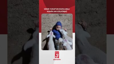 Eskişehir’de yaşayan Orhun Topkaya’nın 3 yaşındaki oğlu Yusuf Alp’in kuzularla