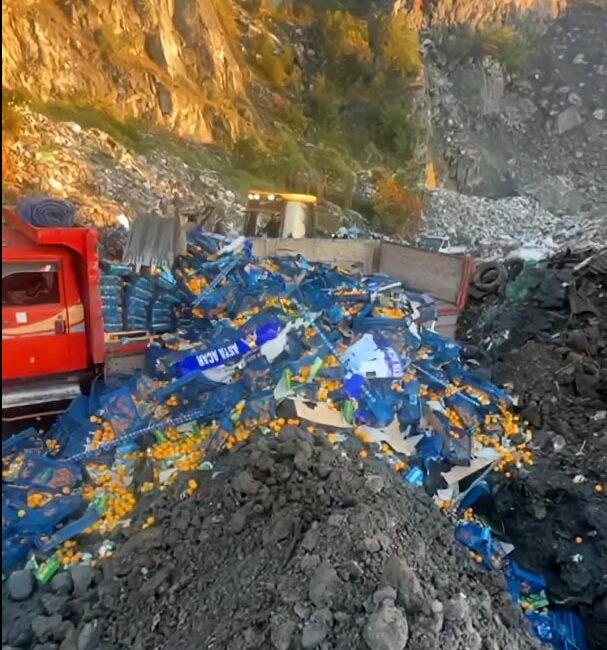 Sarp Sınır Kapısı’nda yapılan denetimlerde, Mersin’den Gürcistan’a ihraç edilmek istenen