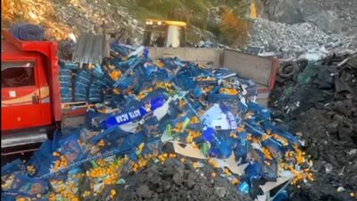 Sarp Sınır Kapısı’nda yapılan denetimlerde, Mersin’den Gürcistan’a ihraç edilmek istenen