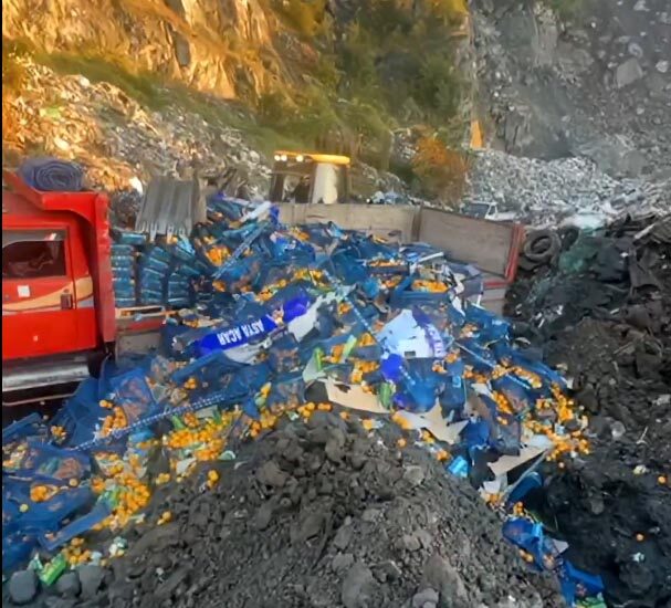 Sarp Sınır Kapısı’nda yapılan denetimlerde, Mersin’den Gürcistan’a ihraç edilmek istenen