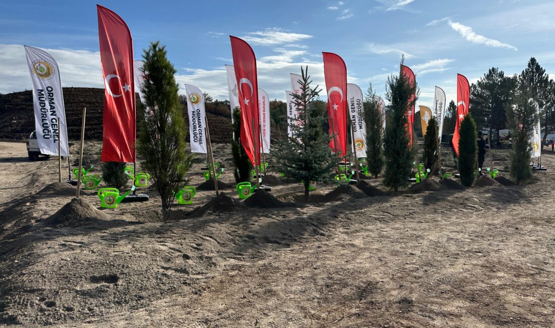 11 Kasım Milli Ağaçlandırma Günü dolayısıyla Afyonkarahisar’ın İhsaniye ilçesine bağlı