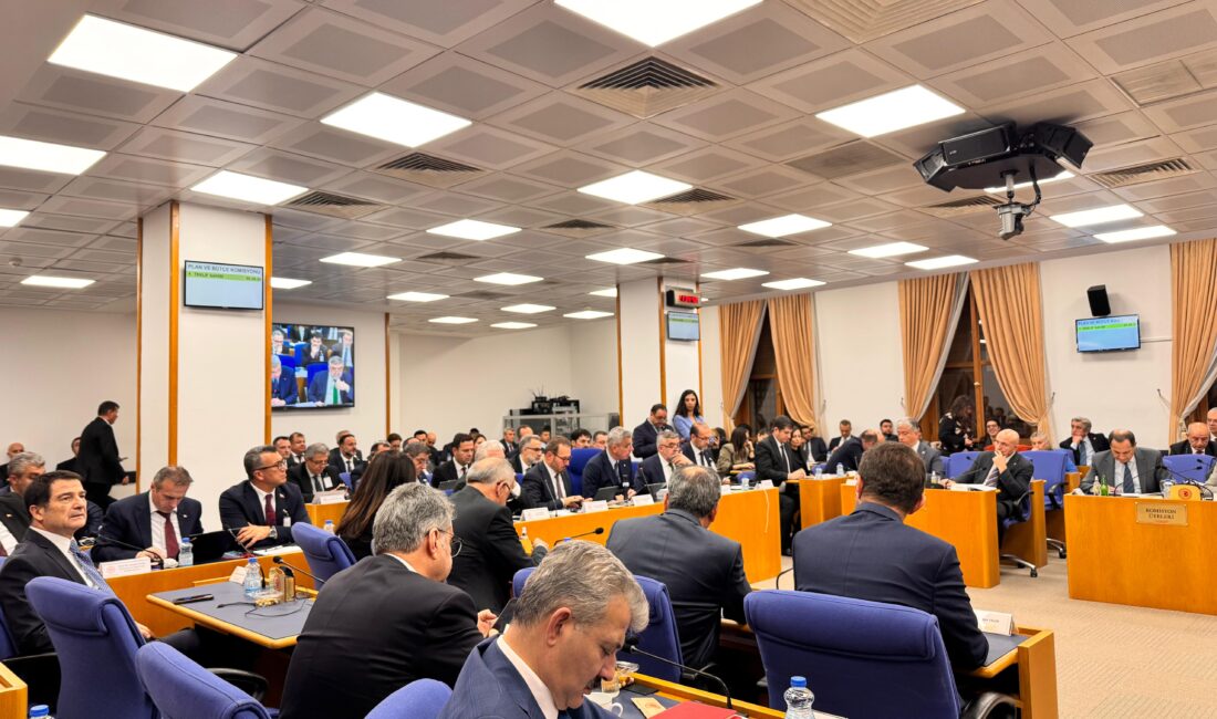 TBMM Plan ve Bütçe Komisyonu’nda Sağlık Bakanlığı’nın 2026 yılı bütçesi