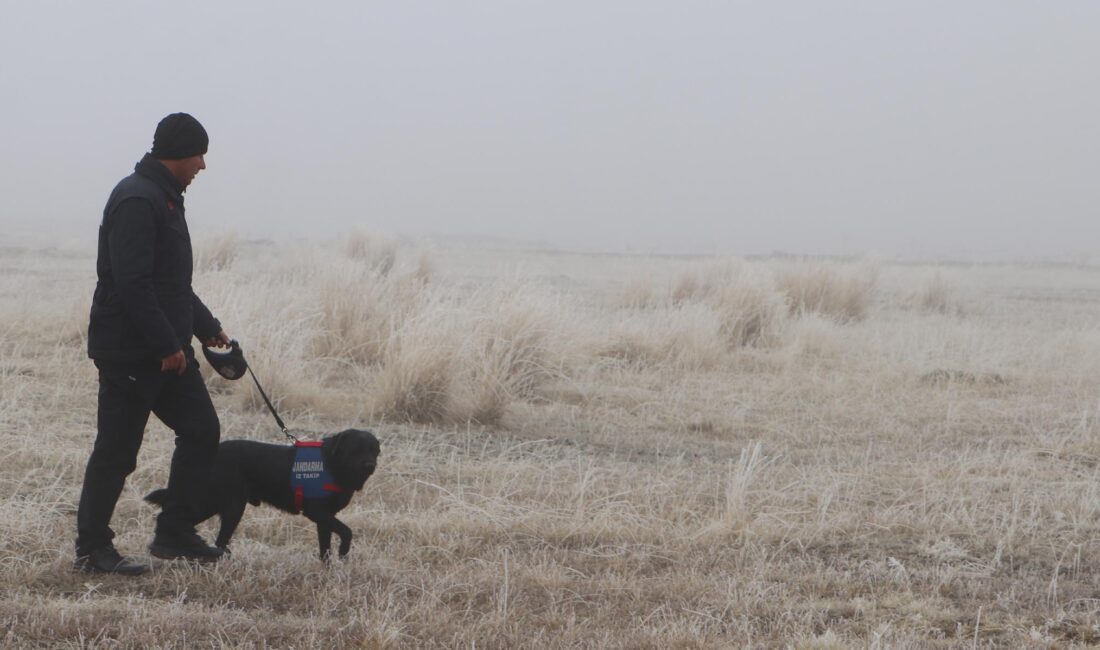 Erzurum’da koyunlarını otlatmaya çıkan 65 yaşındaki çoban Abdurrahman Karasu ve