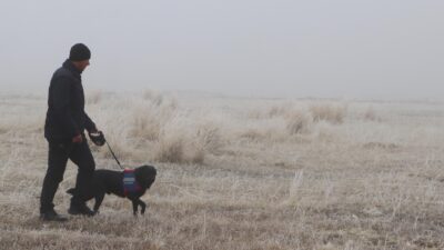 Erzurum’da koyunlarını otlatmaya çıkan 65 yaşındaki çoban Abdurrahman Karasu ve